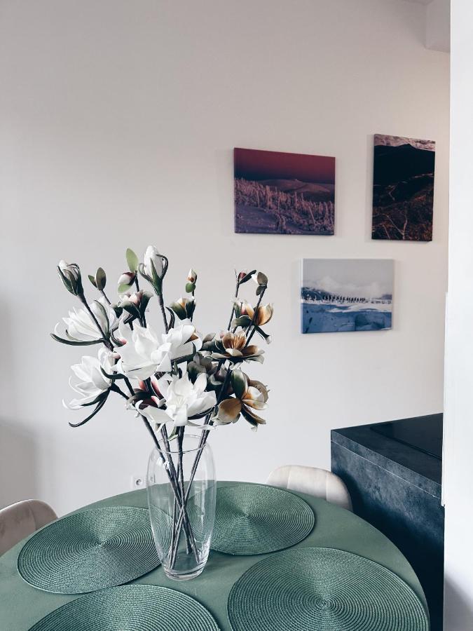Loft Przy Placu Niepodleglosci Apartment Jelenia Góra Exterior foto